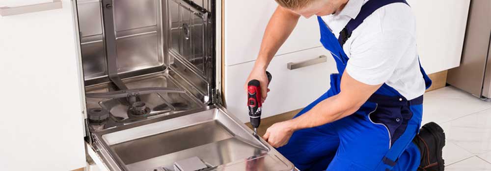 Recycle-Your-Dishwasher