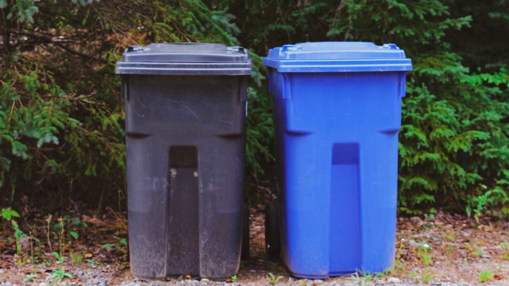 The-Power-Of-Convenience-Embrace-Dumpster-Rental-Services-Today-on-lifehack