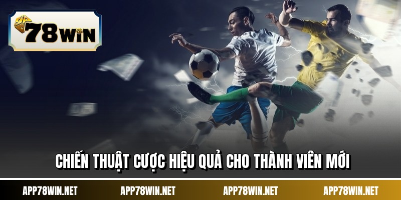 Chiến thuật cược hiệu quả cho thành viên mới