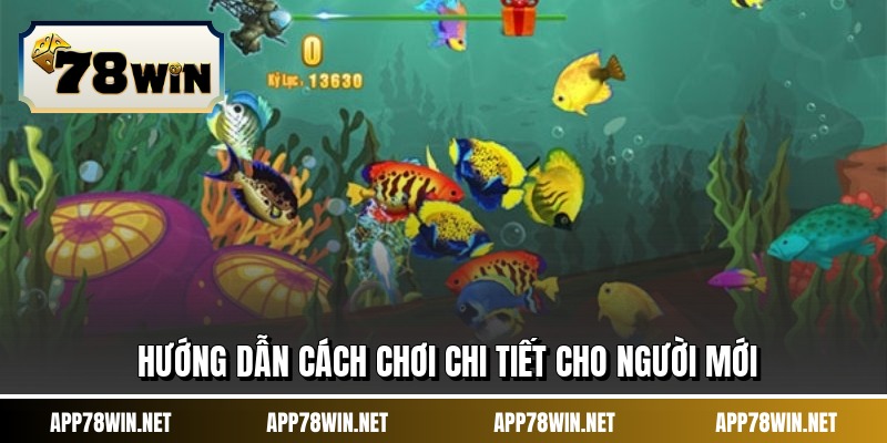 Hướng dẫn cách chơi chi tiết cho người mới