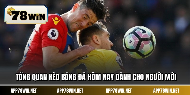 Tổng quan kèo bóng đá hôm nay dành cho người mới