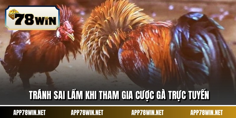 Tránh sai lầm khi tham gia cược gà trực tuyến